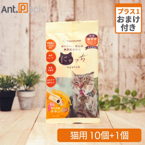 ミャオグルメ・にゃっち チキン 無添加おやつ 猫用 （10g×4本）×10個＋