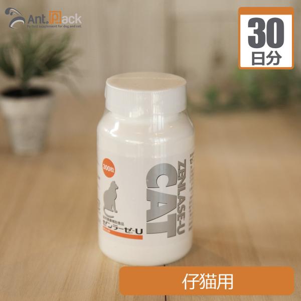 尿の健康をサポート。有機酸であるフマル酸が配合されております。ビール酵母と天然甘味料、粉末チーズの配合により嗜好性が良く給与しやすくなっています。アントパックでは、こちらの商品の詳細情報は商品説明に記載しています。