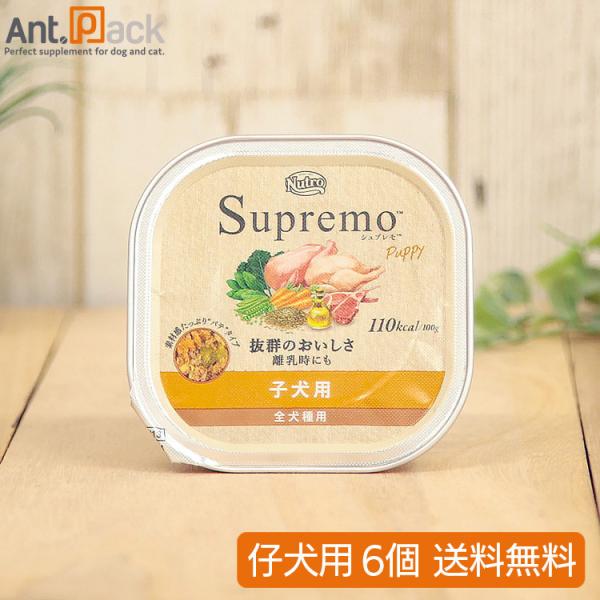 シュプレモ ニュートロ 子犬用 トレイ 100g×6個 (送料無料 シュプレモ ニュートロ 子犬用 トレイ 100g×6個 (送料無料