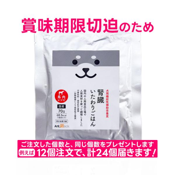 （購入数×2キャンペーン）腎臓いたわりごはん 馬肉 犬用 70g×1袋（50563）（賞味期限：2026年12月1日）