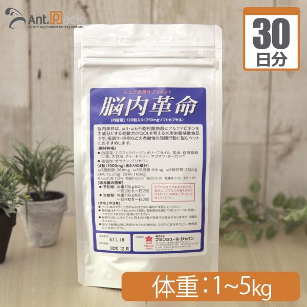 脳内革命 犬用 体重1kg〜5kg 1日2カプセル30日分 : Ant.Pack獣医師監修