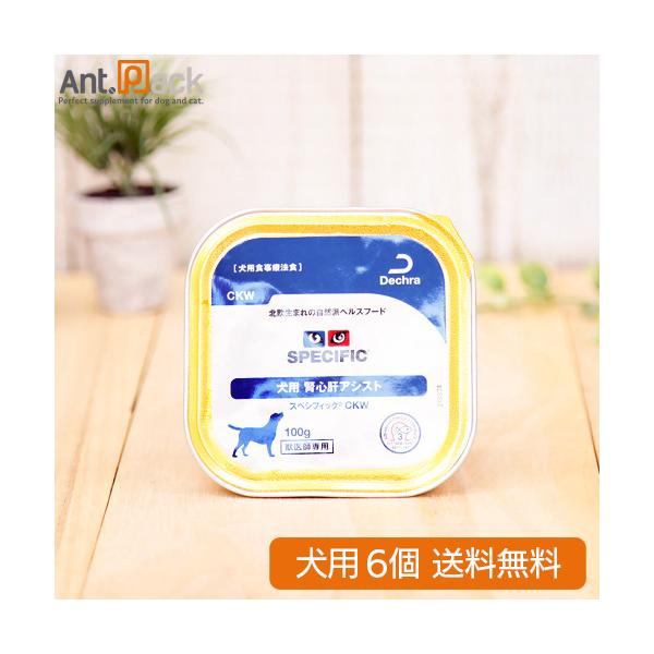 スペシフィック 犬用 CKW 腎心肝アシスト 100g×6個 食事療法食 *お1人様2セット限り *同梱不可 *送料無料(28310)