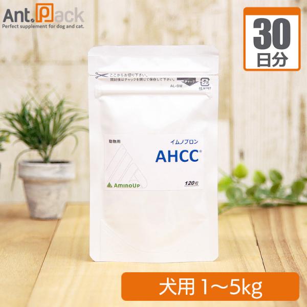 イムノブロン AHCC ソフトカプセル 120粒入×4袋セット アミノ