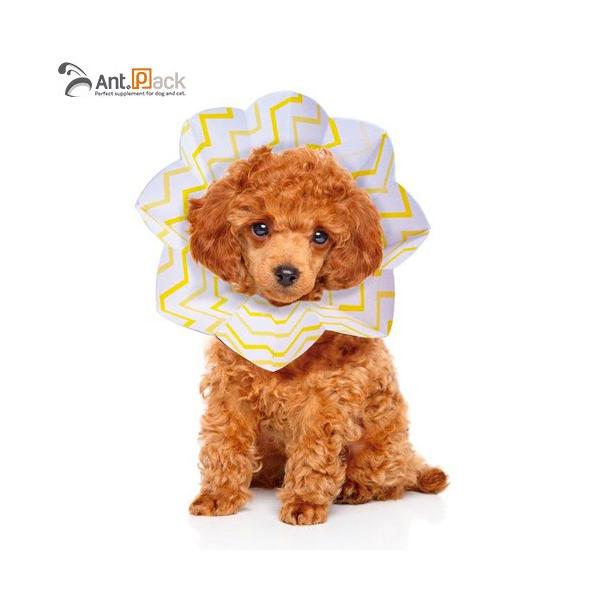 HARIO（ハリオ） コンパクトエリザベスカラー エリコ S 1個入（トイ