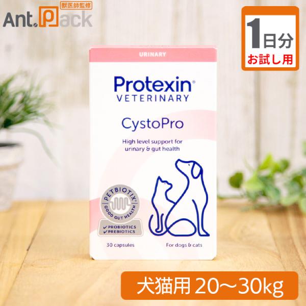 プロアントシアニジン、マンナンオリゴ糖、プロバイオティクスが膀胱の健康維持をサポート。N-アセチル-D-グルコサミンが膀胱粘膜層の健康維持をサポート。こちらの商品の詳細情報は商品説明に記載しています。