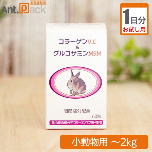 ウサギ、小動物　サプリメントまとめ お試し1日分）うさぎの関節にコラーゲンV.C＆グルコサミンMSM 小動物用