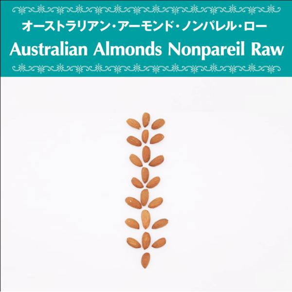 A[h I[XgAY [ibc Y Y sgp I[KjbN FK xW^A [t[h |tFm[ RHi VRf 40g