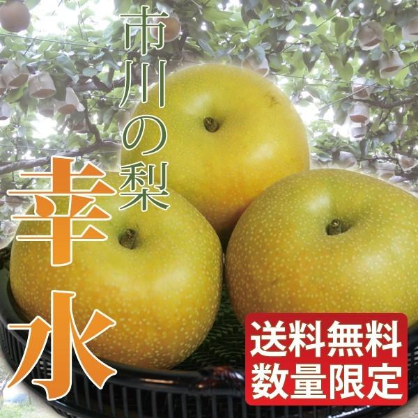 梨　幸水　27 lp-nashi_01.jpg