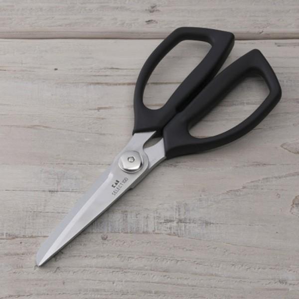 ZNg100΂ SELECT100 4901601413397  킢 k