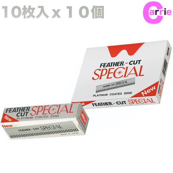 tFU[ JbgXyV v`in 10 × 10_ iPj@JX^U[p֐n