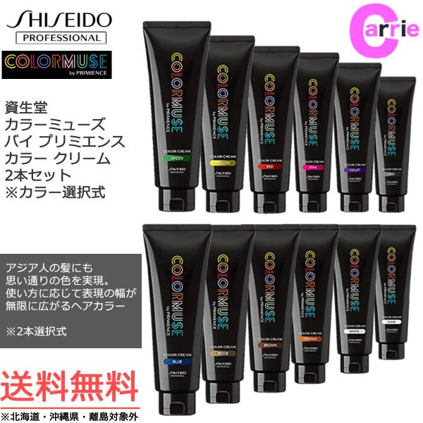 SHISEIDO PROFESSIONAL 2本セット 資生堂 カラーミューズ バイ SHISEIDO PROFESSIONAL 2本セット 資生堂 カラーミューズ バイ