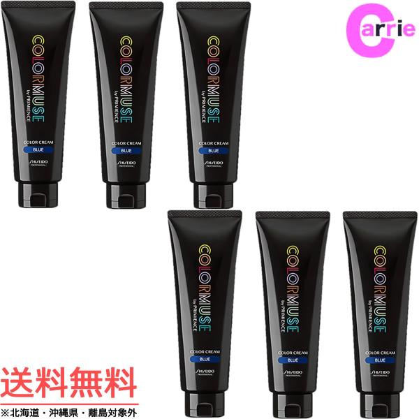 SHISEIDO PROFESSIONAL 資生堂 カラーミューズ バイ