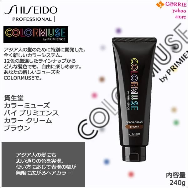 SHISEIDO PROFESSIONAL（資生堂プロフェッショナル） 資生堂 カラー