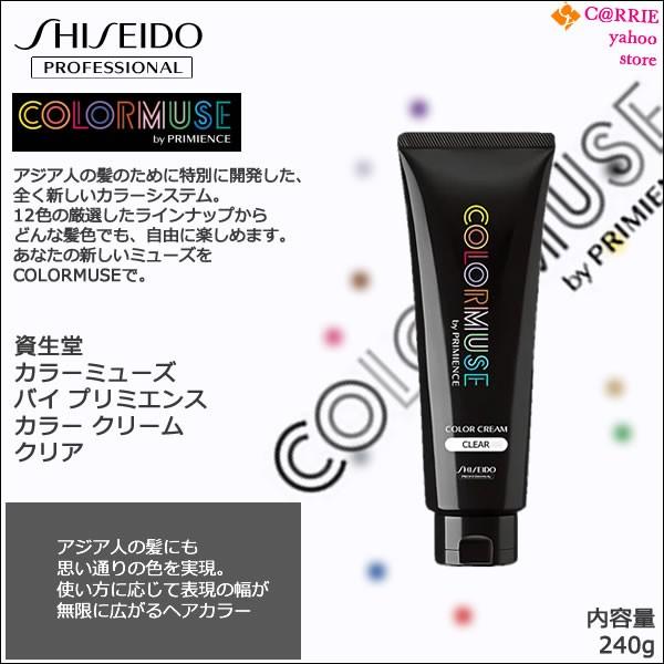 SHISEIDO PROFESSIONAL 資生堂 カラーミューズ バイ