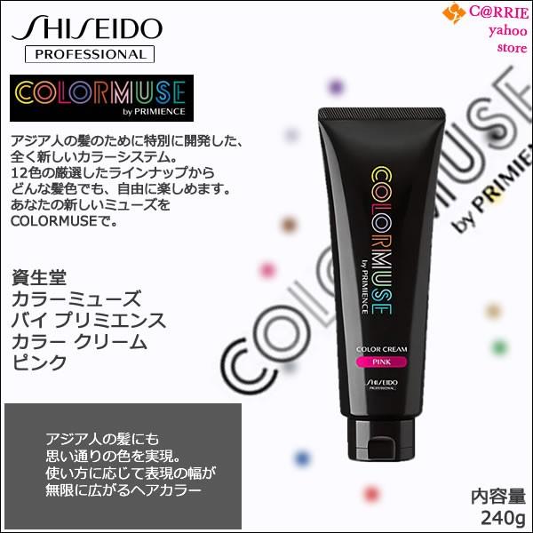 SHISEIDO PROFESSIONAL（資生堂プロフェッショナル） 資生堂 カラー
