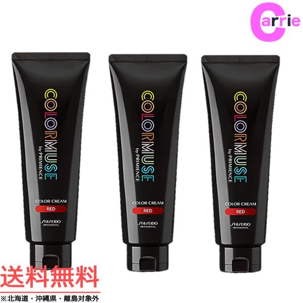 SHISEIDO PROFESSIONAL 資生堂 カラーミューズ バイ