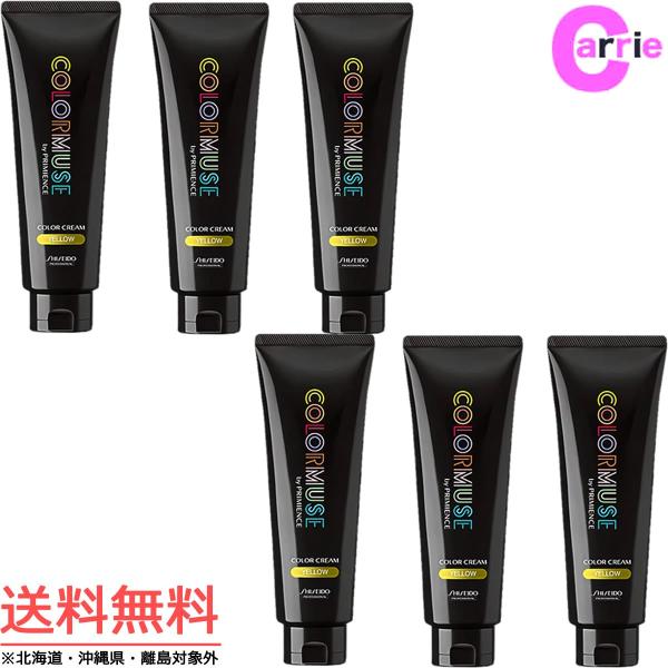 SHISEIDO PROFESSIONAL（資生堂プロフェッショナル） 資生堂 カラー