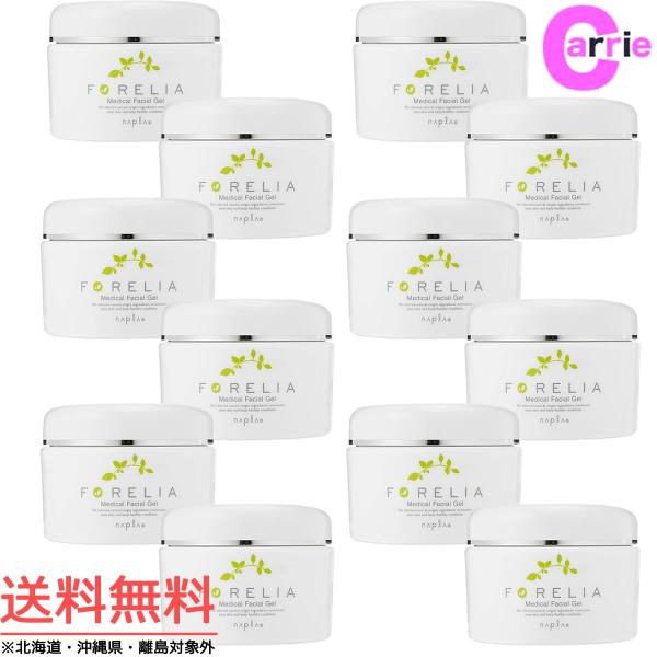 iv tH[A fBJtFCVQ 100gb򕔊OibPQZbg 