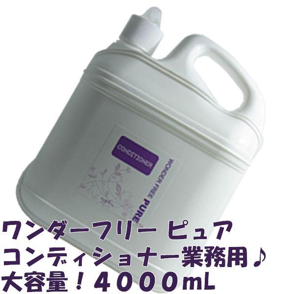 iv _[t[sA@RfBVi[ 4000g Ɩpe