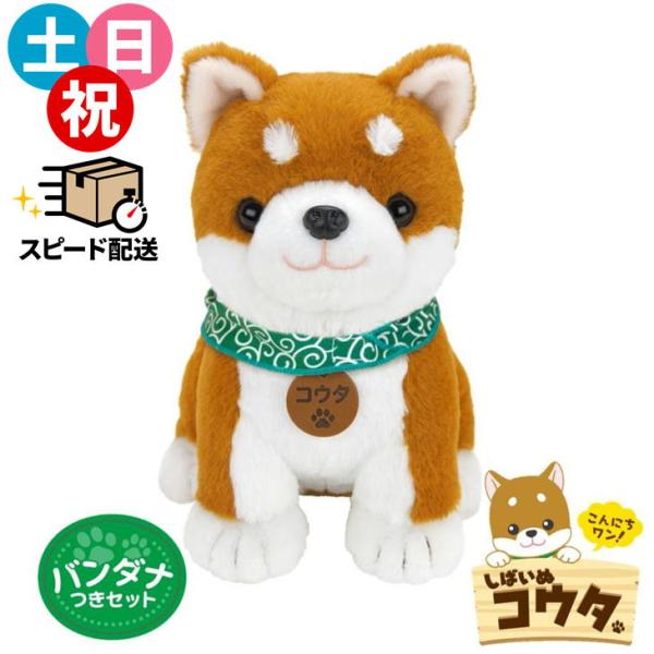 バンダナ付 こんにちワン！しばいぬコウタ バンダナつきセット 柴犬 ぬいぐるみ ペット しゃべる 音声認識 人形 高齢 ペットロボット 犬 癒し おもちゃ 80s bnm