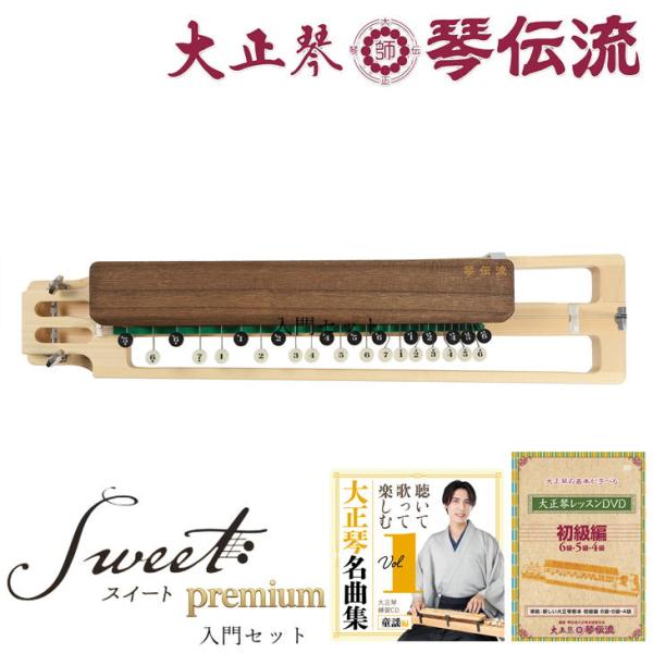大正琴　入門セット 付属品多数 大正琴 入門セット 付属品多数