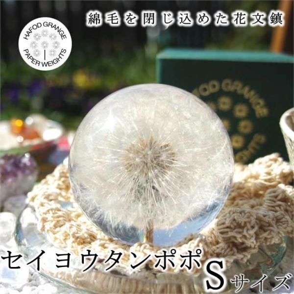ハフォドグレンジ セイヨウタンポポ Sサイズ 花文鎮 フラワー ペーパーウエイト  HG01S