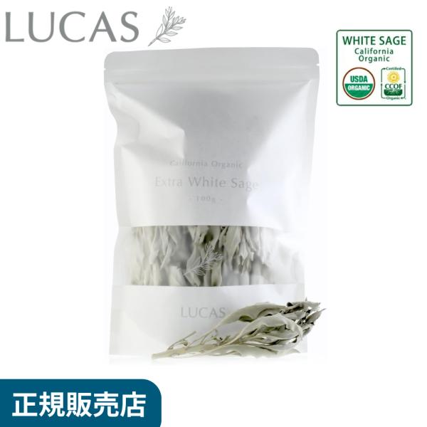 ホワイトセージ お香 LUCAS 浄化 エクストラ ホワイトセージ 100g 枝付き リーフ 無農薬 カリフォルニア直輸入 オーガニック認定農場産 ルカス セージ