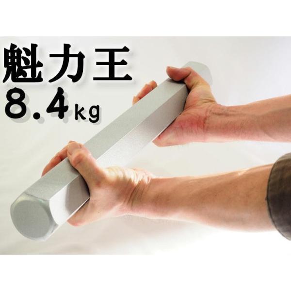 antel-store_zst-2103-zb-500