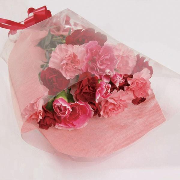 (Xv[J[l[V(8{))k^{3850~{550~l ͂ڈ10  (× ̂× ^bZ[WJ[h)