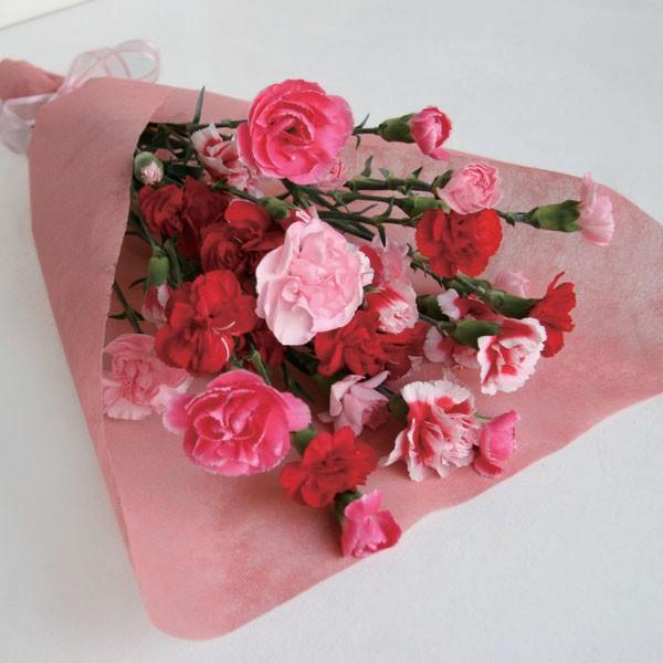 (Xv[J[l[V(5{))k^{2750~{550~l ͂ڈ10  (× ̂× ^bZ[WJ[h)