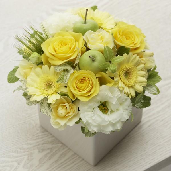 Flower Arrangement(�R���{)�k�������^�{��7260�~�{����550�~�l �����͂��ڈ���10��  (�× �̂�× ��^�����b�Z�[�W�J�[�h��)