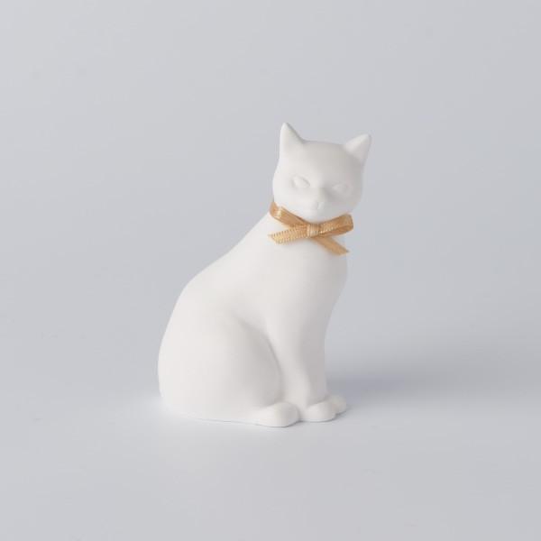 BALLON (o) A}I[ig Cat/S[h/[J