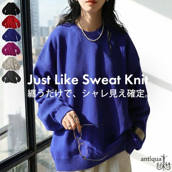antiqua（アンティカ） ニット レディース トップス クルーネック 長袖