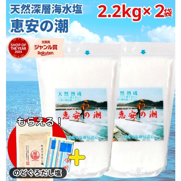 恵安の潮 2.2kg × 2袋セット お徳用パック ミネラル 恵安の塩 天日塩