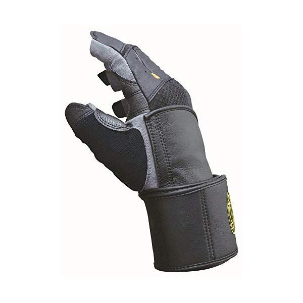 ゴールドジム Gold S Gym プロアルティマグローブg3432 Xlサイズ Morenotafurt Com