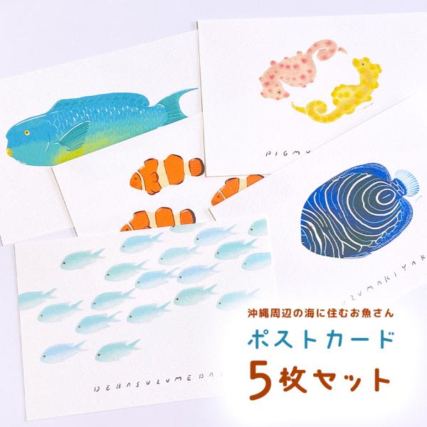 aodama-zakka_u04