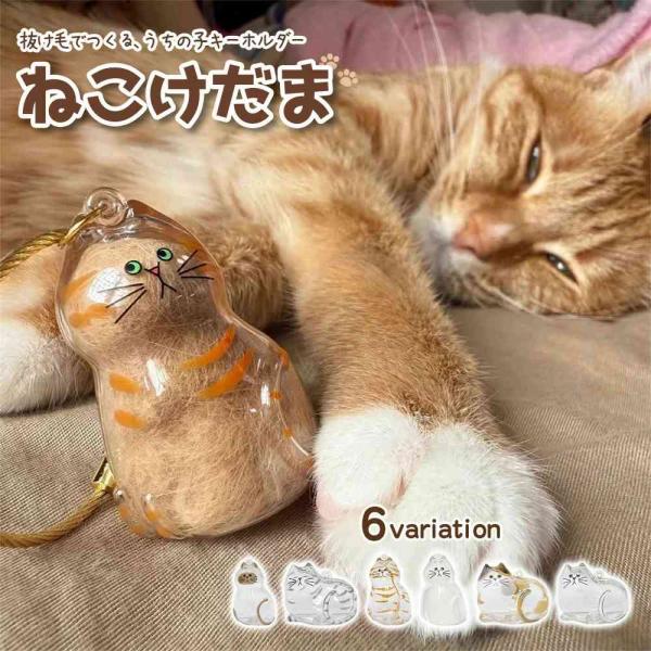 aoderi_nekokedama