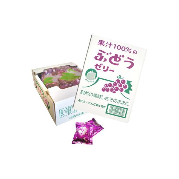 果汁100％ゼリーBOXパウチ ぶどう味 20個入 駄菓子 子供会 景品