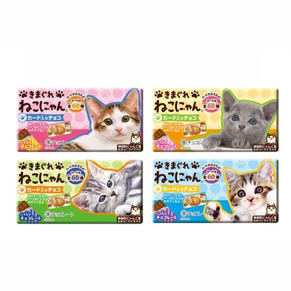 きまぐれねこにゃん クランチチョコレート 20入 駄菓子 子供会 景品