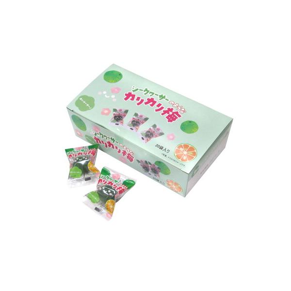シークヮーサーのようなカリカリ梅（箱入り） 20粒入 駄菓子 子供会