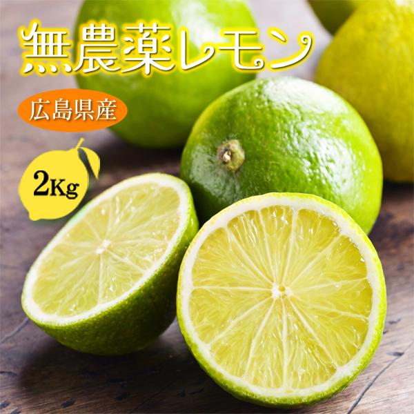 無農薬 レモン 2kg 国産 瀬戸内レモン 瀬戸田レモン 農薬不使用 ノー 
