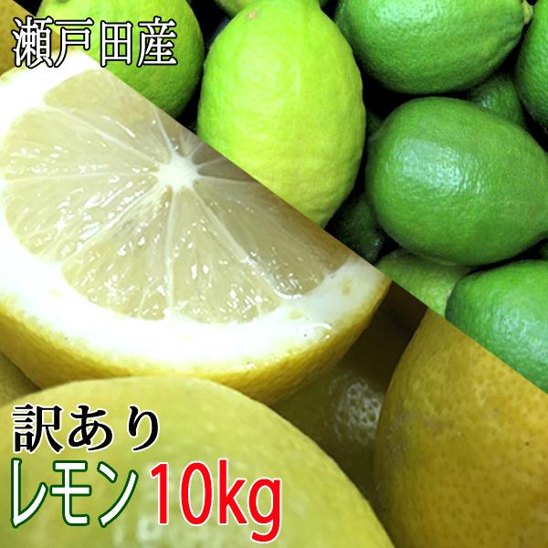 無農薬レモン(わけあり10㎏) 無農薬 レモン 国産 10kg 送料無料 黄色レモン ノーワックス