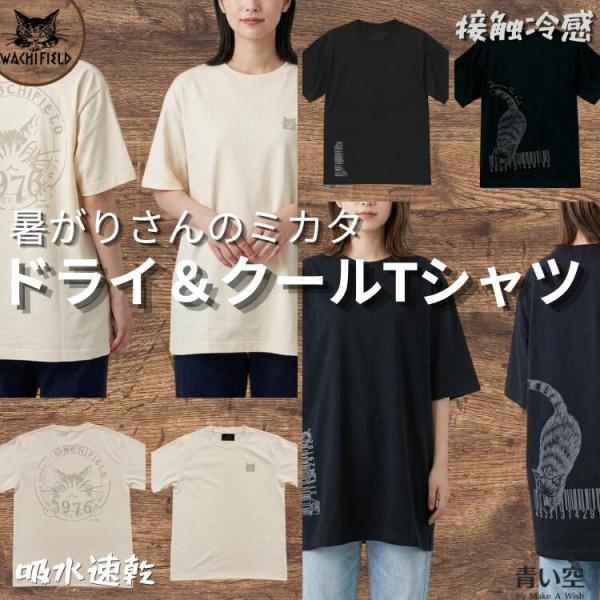 ダヤン  服  わちふぃーるど ドライクールT   BPバックプリント (ロゴ・IV / コード・黒）  フリーサイズ  Tシャツ レディース   猫 猫柄 ねこ ネコ  洋服 服