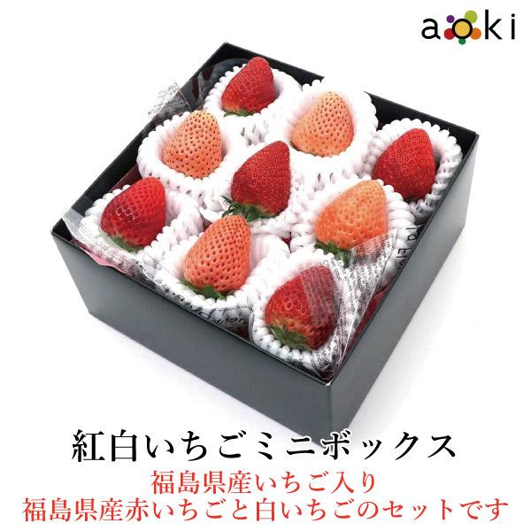 Nommi 果然有趣 幸福苺満 心想事橙 イチゴ、オレンジ 2点セット 夢二といちご夢二 24個入