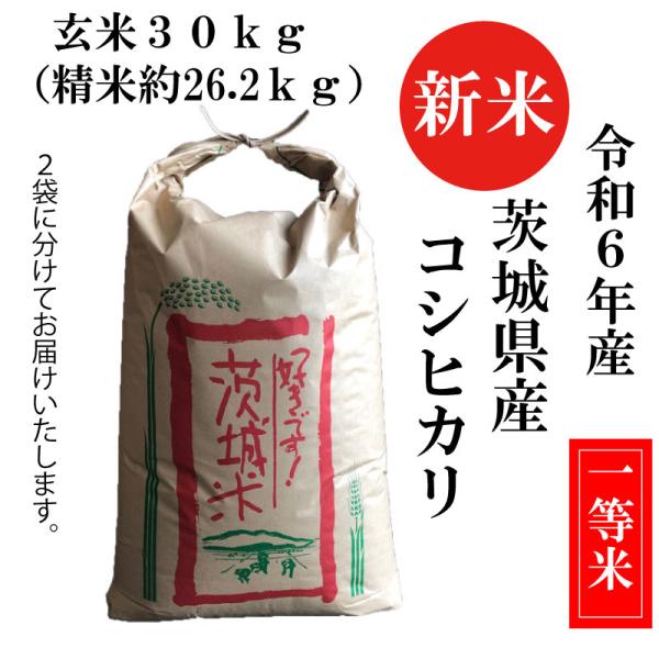令和6年産 新米 こしひかり コシヒカリ 玄米30kg 茨城県産 令和6年産 新米 こしひかり コシヒカリ 玄米30kg 茨城県産