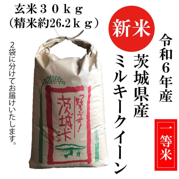 aokisyouten_600 aokisyouten_600