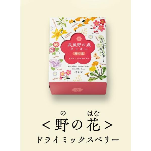 ̐XNbL[ ̉ԁ@5  ĉَq j j 䒆 Ε N hV ܎O c  @ @v  ̓ ̓ Ԃ  Mtg