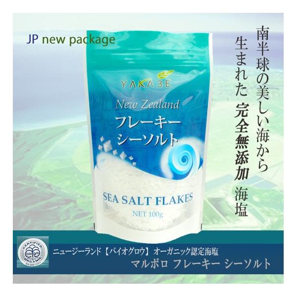 ヤカベ フレーキー シーソルト 100ｇ