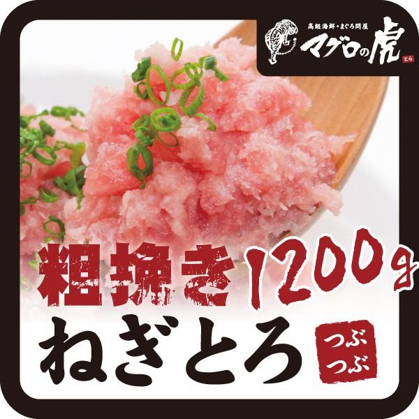 VR }O lMg e҂ 1200g 100×12 cucu  O Mtg ܂  C̍K NNn  Ε ~Mtg