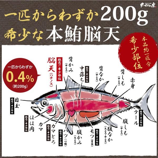 本マグロ 脳天 2人前 刺身 国産 希少部位 お取り寄せ グルメ ギフト まぐろ 鮪 Buyee 日本代购平台 产品购物网站大全 Buyee一站式代购 Bot Online